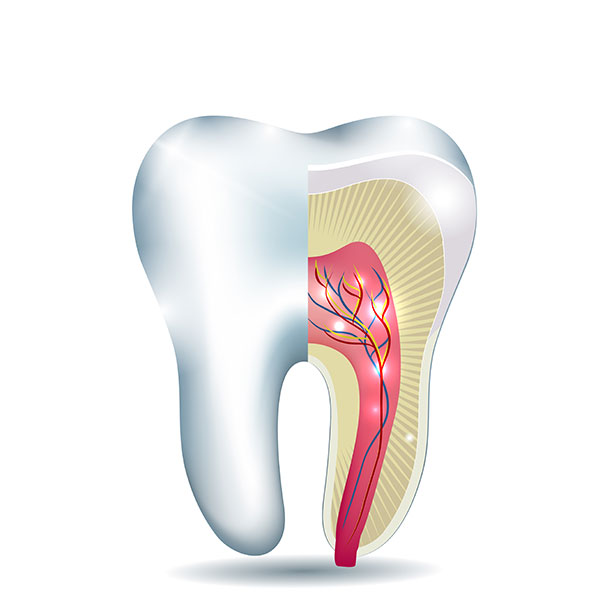 Remove Infected & Damaged Pulp from Diseased Tooth with Root Canal ...