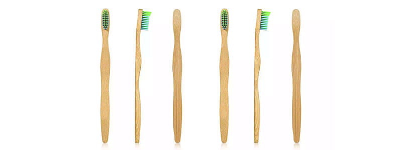 Terrabrush Adult Bamboo Toothbrushes